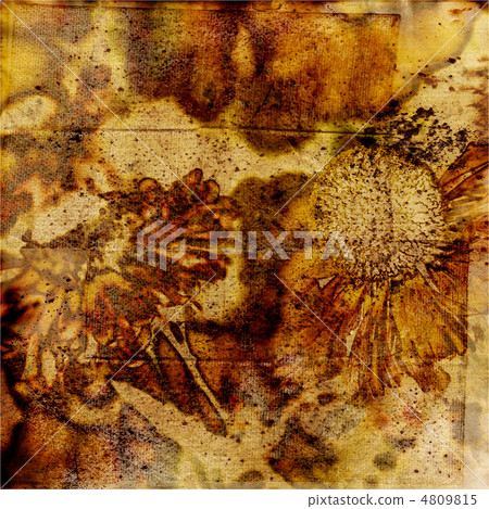 art floral grunge graphic background art floral grunge graphic background 4809815