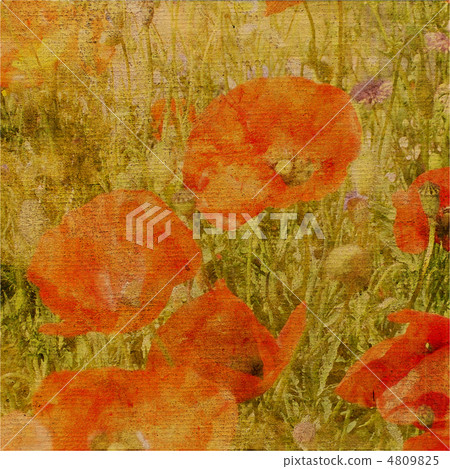 art floral grunge graphic background art floral grunge graphic background 4809825