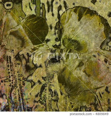 art floral vintage colorful background 4809849