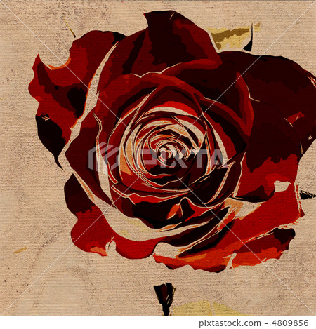 art floral vintage colorful background 4809856
