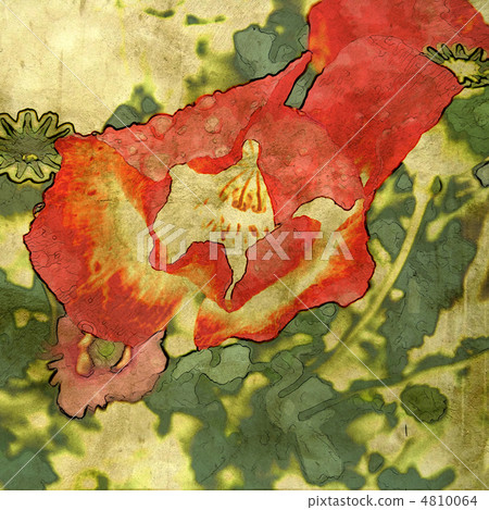 art floral grunge graphic background 4810064