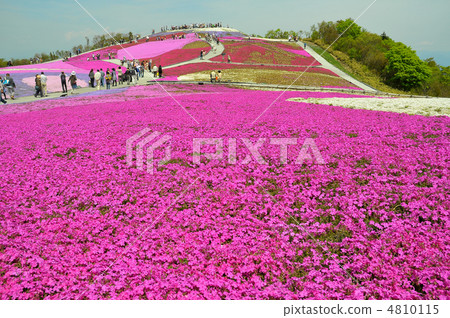 Shiba Sakura no Oka Shiba Sakura no Oka 4810115