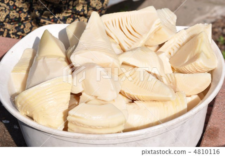 bamboo shoots 4810116