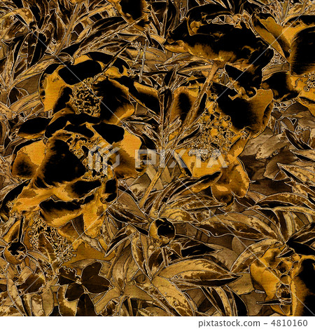 art grunge floral vintage background texture 4810160