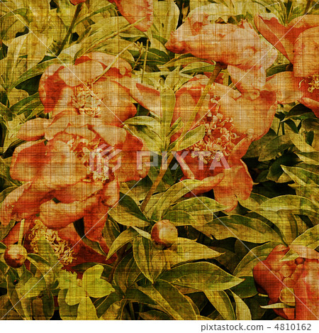 art floral vintage background art floral vintage background 4810162