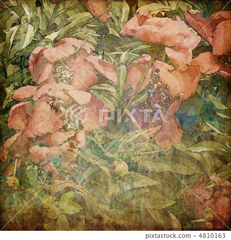 art grunge floral vintage background texture art grunge floral vintage background texture 4810163