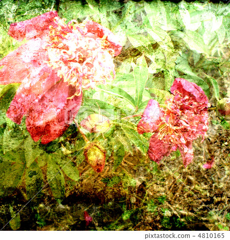 season, seasons, old 4810165