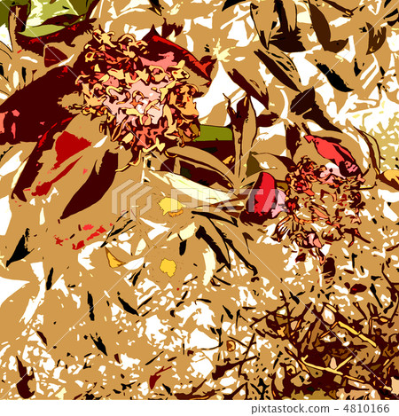 brushes, flower pattern, fissure 4810166