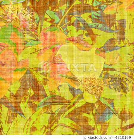 art floral vintage colorful background art floral vintage colorful background 4810169