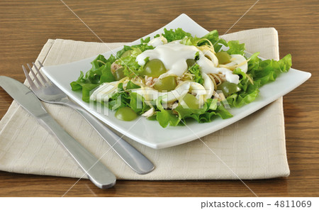 Light salad with yogurt 4811069