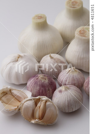 garlic  4811651