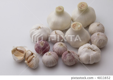 garlic  4811652