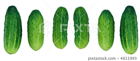 Cucumber on White Background Cucumber on White Background 4811993