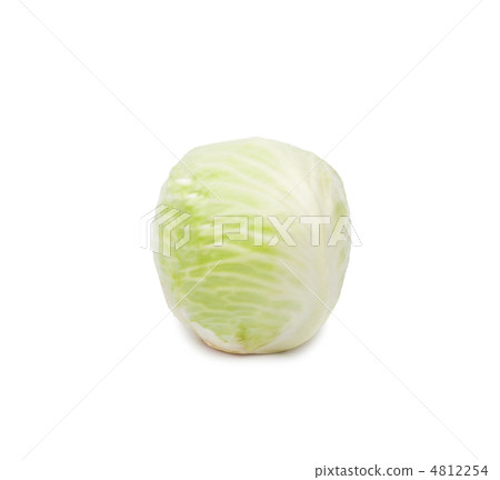 Photo of fresh cabbage Photo of fresh cabbage 4812254
