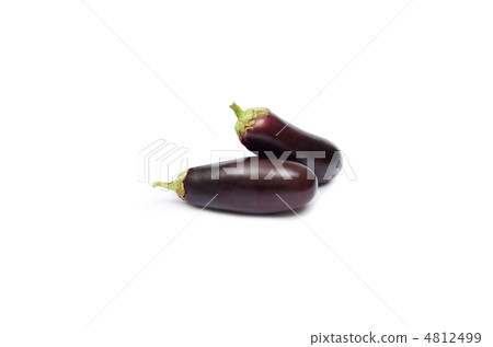 eggplants isolated on white background 4812499