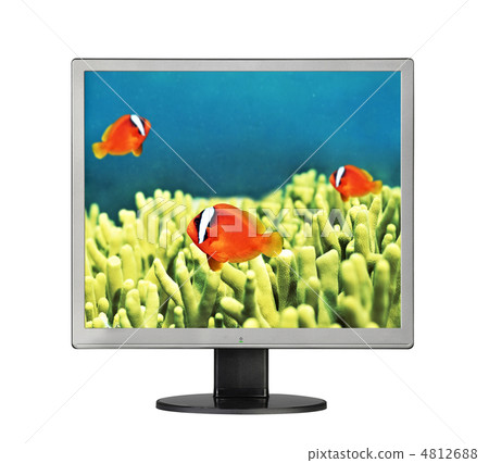 Goldfishes in aquarium in LCD monitor 4812688