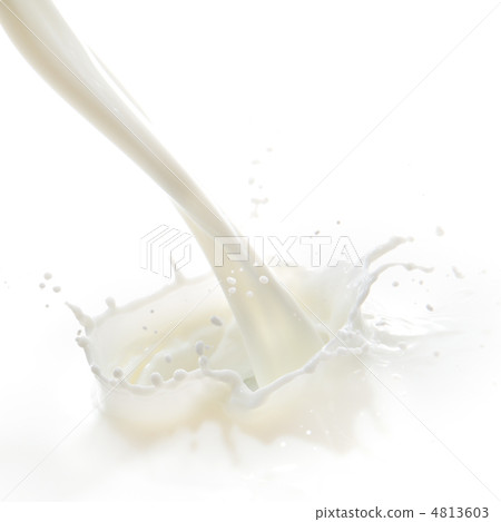 milk splash milk splash 4813603