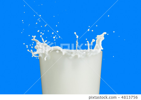 milk splash milk splash 4813756