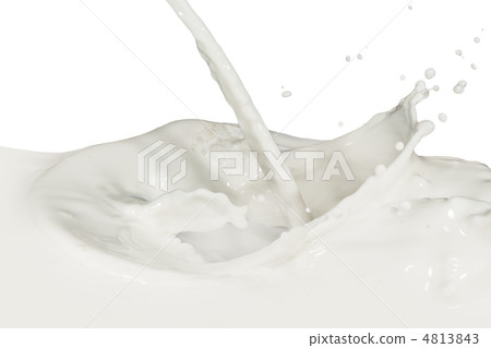 milk splash milk splash 4813843