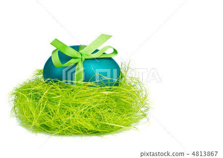 easter egg in nest easter egg in nest 4813867