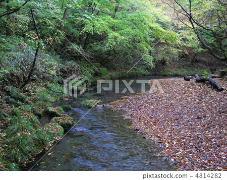 Otoko春天和春天小組的秋天 4814282