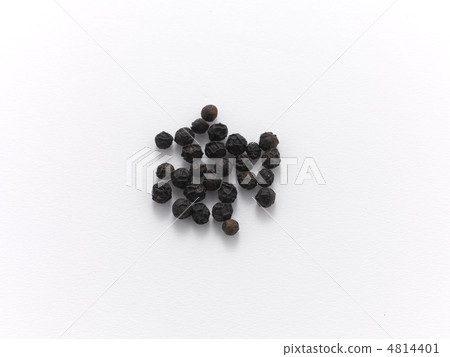 黑胡椒 黑胡椒 4814401