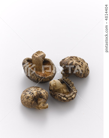 Dried shiitake mushrooms  4814404