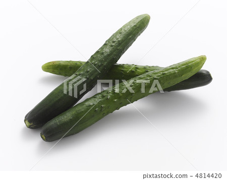 Cucumber 4814420
