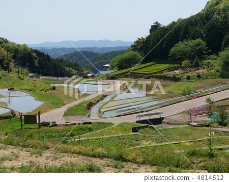 Gifu · Kamida Rice terrace (overhead view) 4814612