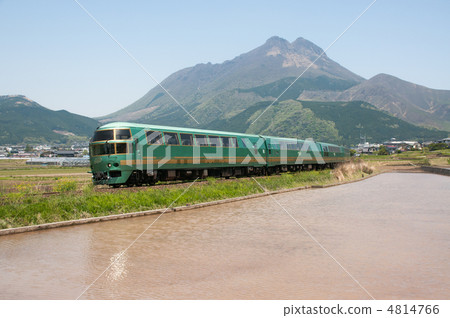 在稻田裡澆水！ 4814766