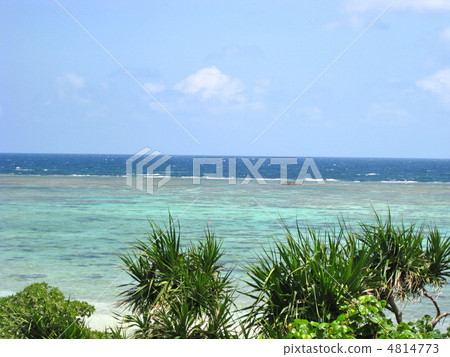 Ishigakijima Kabira海灘的珊瑚礁 Ishigakijima Kabira海灘的珊瑚礁 4814773