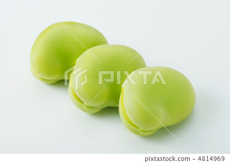 蠶豆 蠶豆 4814969