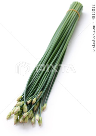 食用的Hananilla 4815012
