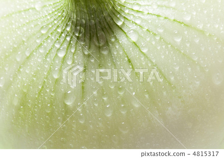 New Onion 4815317