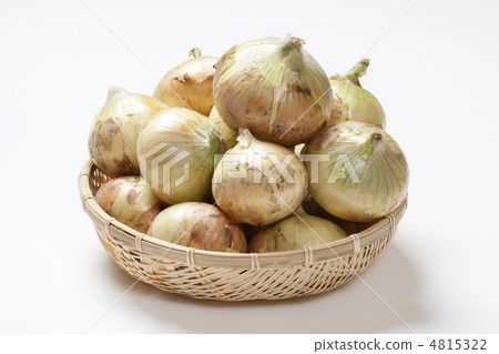 新洋蔥 4815322