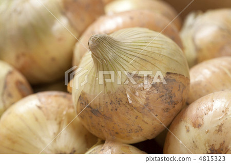 新洋蔥 新洋蔥 4815323