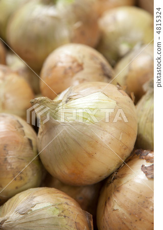 新洋蔥 4815324