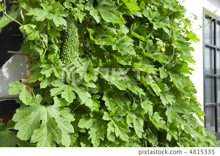 戈雅生態窗簾 戈雅生態窗簾 4815335