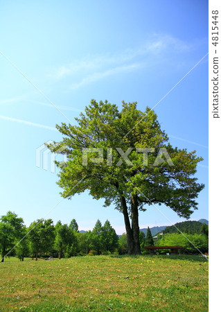 公園 公園 4815448