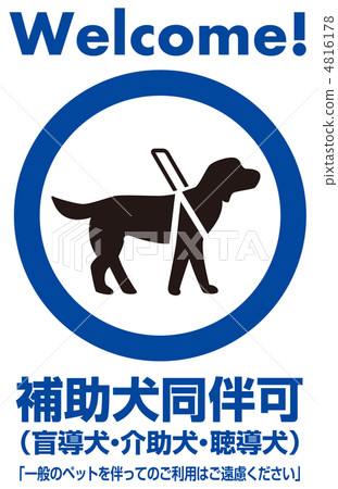 Auxiliary dog -33 4816178