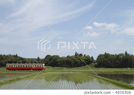 Spring Kominato Railway 4816308
