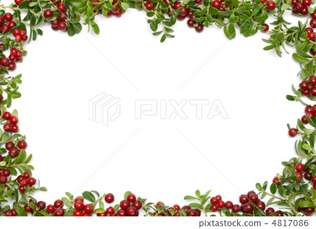 Frame from of the cowberry 4817086