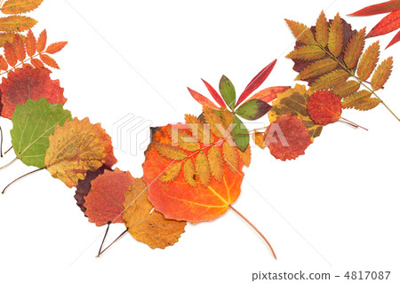 Autumn sheet strewn in heap Autumn sheet strewn in heap 4817087