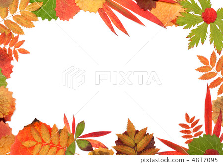 Frame their autumn sheet Frame their autumn sheet 4817095