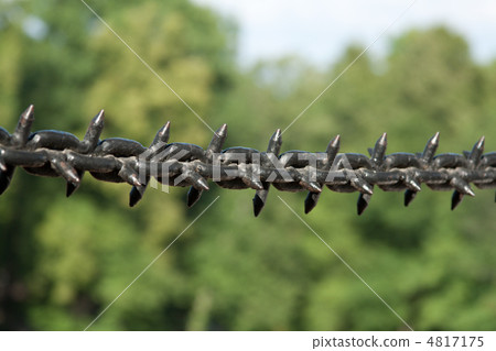 Chain with thorn 4817175