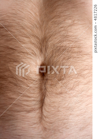 Male hairs belly, bellybutton Male hairs belly, bellybutton 4817226