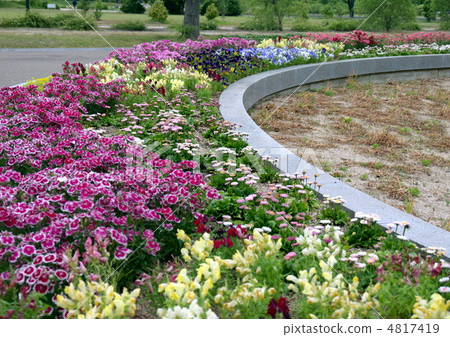 The flower bed of the park 4817419