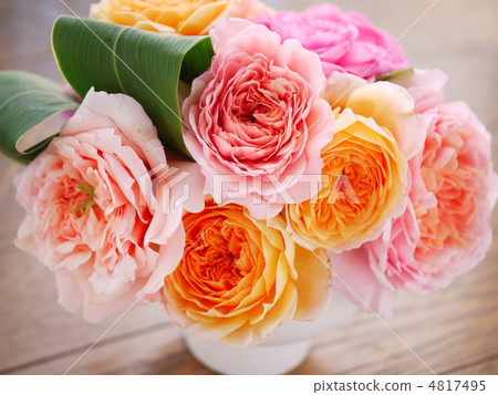 糖果色英文玫瑰安排Ⅱ 4817495