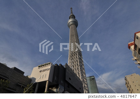 墨田區水族館 4817647
