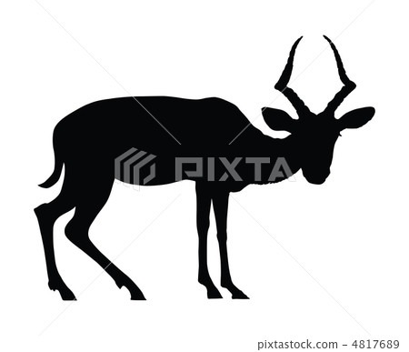 Vector antelope Vector antelope 4817689